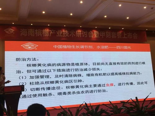 創新共贏 2018檳榔產業技術研討交流會——技術推廣服務賦能產業升級