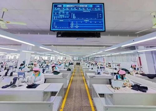 平湖躋身全省“兩化”融合20強，數字文化創意內容應用服務嶄露頭角
